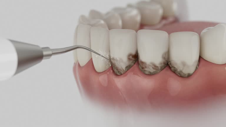 Reliable Dental contractor in Aransas Pass, TX by Dentist Open Now
